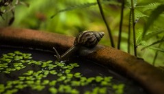 节日活动趣味游戏 趣味活动方案策划