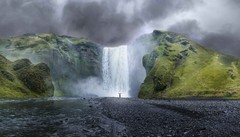 宠物行业发展前景 宠物火化设备厂家