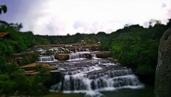 秦岭分水岭景区要门票吗