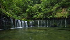 郎平拒绝参加张常宁婚礼