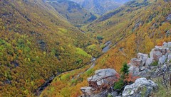 新疆和合矿业老板娘背景