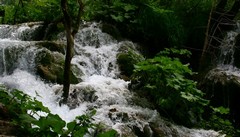 芳香理疗师怎么考证 精油芳香理疗师培训