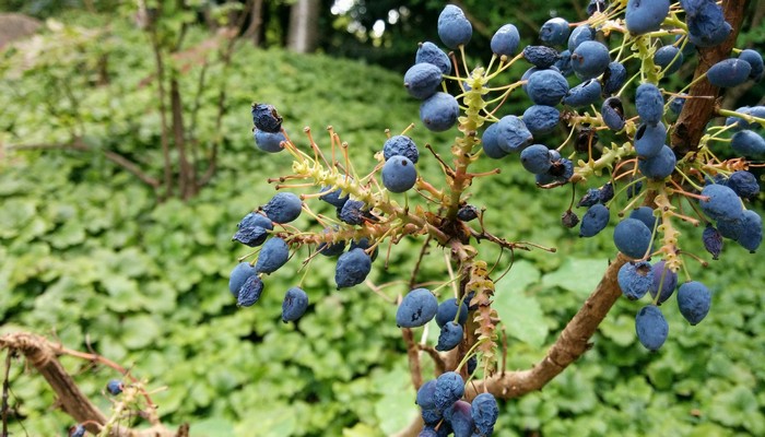 给孩子存钱怎么存合适 每月存500元10年后