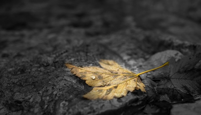 水煮肉片怎么形容 描写水煮肉片的句子