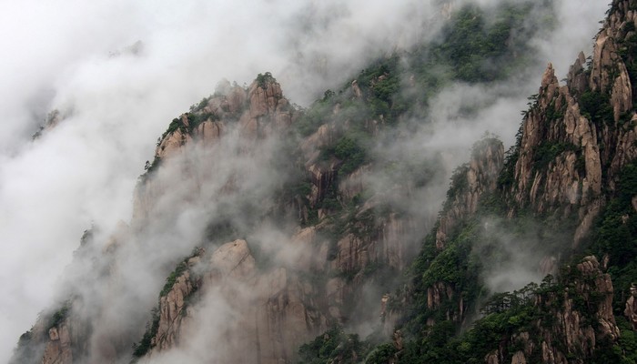 盲井王宝强获得什么奖