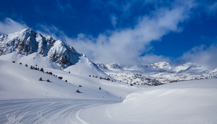 雪梨直播公司已解散 雪梨公司清仓遭投诉