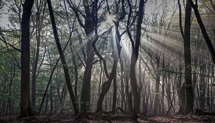 自行车赛车和山地车的区别