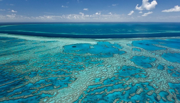 利物浦最近一次欧冠 欧冠决赛利物浦vs热刺