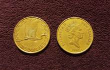 五十周年纪念币值多少钱